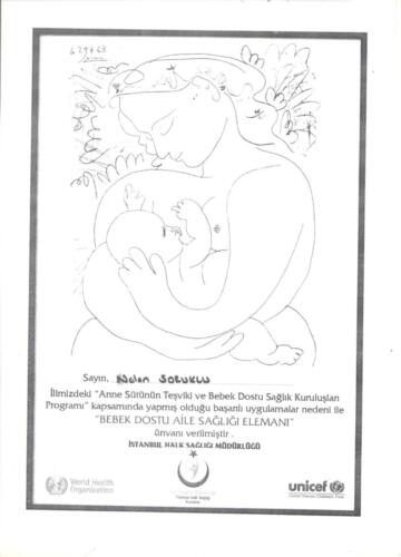Certificate-3